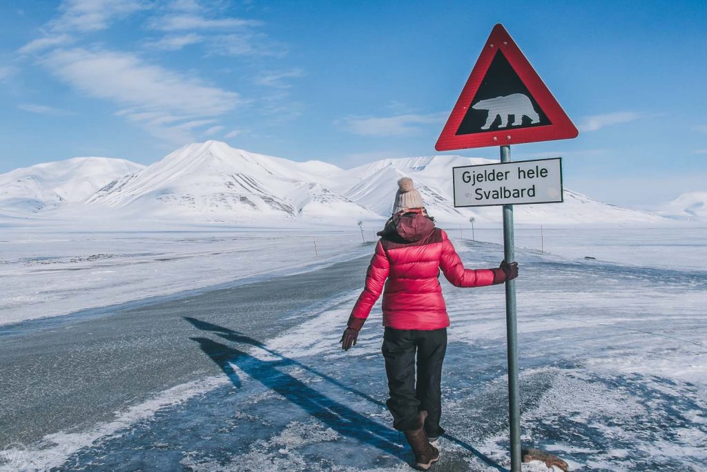 Mala suerte célula Vergonzoso 13+ Best Things to do in Svalbard - must-see places in the High Arctic -  Worldering around