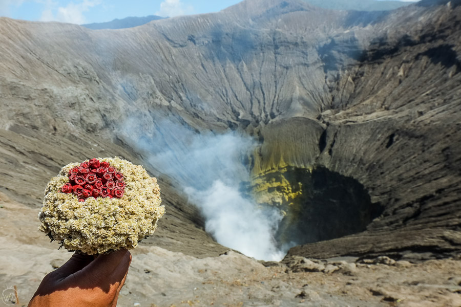 Mount Bromo hike and flowers