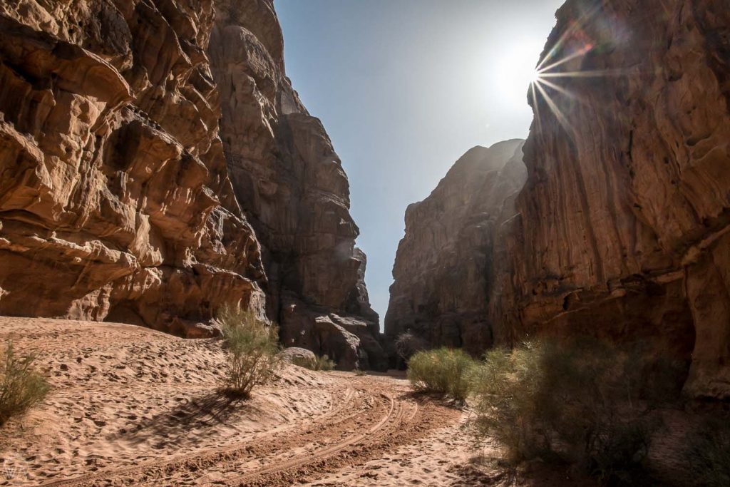 Walking through the Khazali Canyon, Wadi Rum 