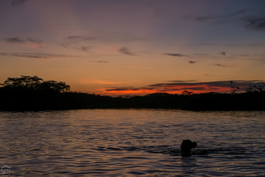 A girl swimming in the Laguna Grande, Cuyabeno Wildlife Reserve