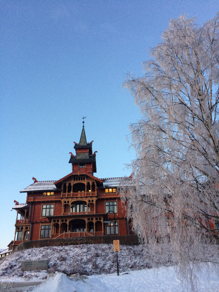 View from the Scandic Holmenkollen Park Hotel in Oslo in winter