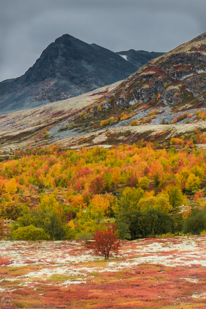 Autumn in Rondane National Park in Norway