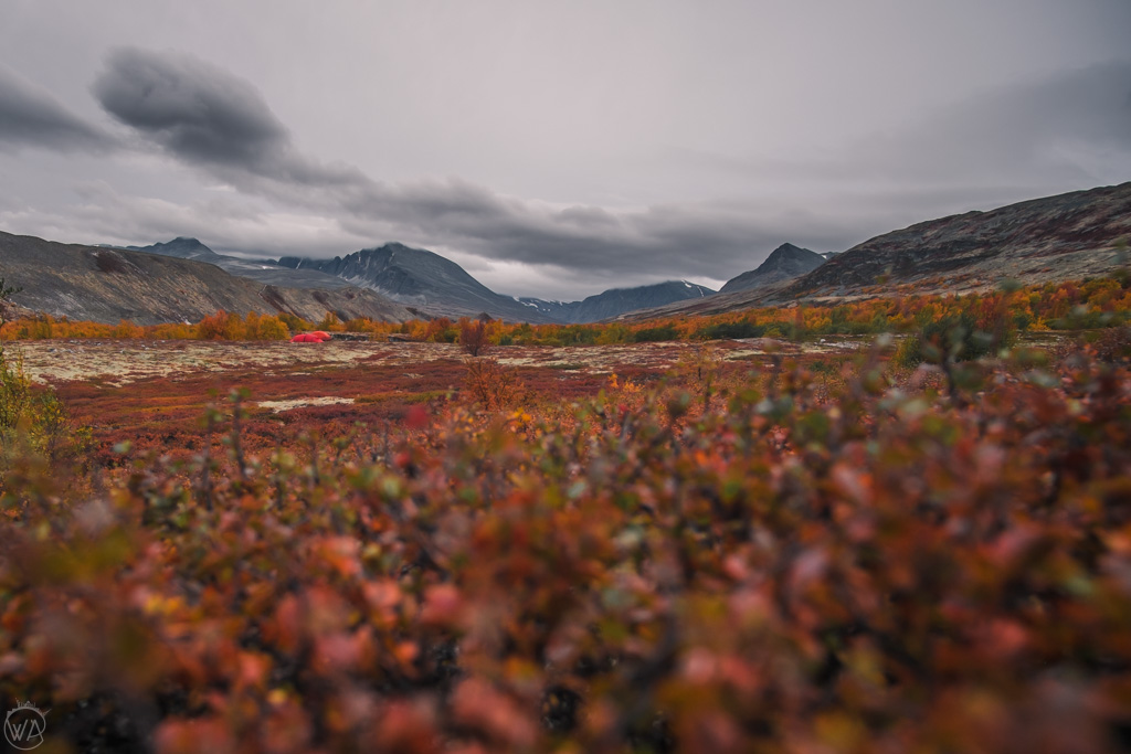 Autumn colors in Norway in Rondane National Park