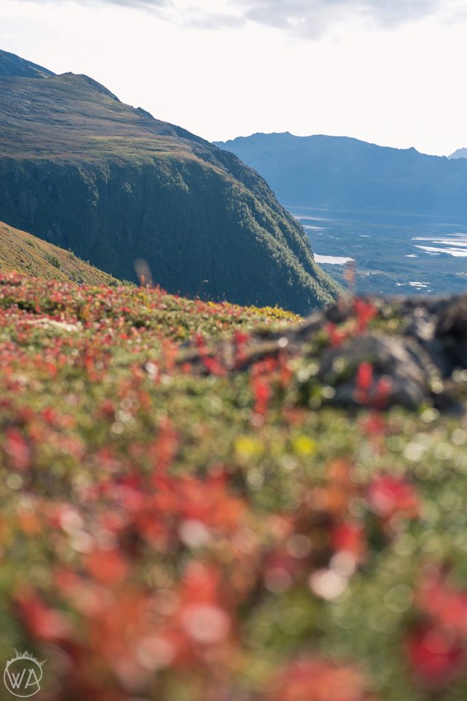 Autumn in Lofoten